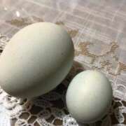 ヒメ日記 2025/07/26 12:30 投稿 武田静香 五十路マダム 新潟店(カサブランカグループ)