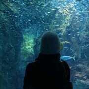 ヒメ日記 2025/01/10 15:02 投稿 秋月 琴音☆3 TiAmo（ティアモ）