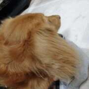 ヒメ日記 2025/01/11 17:12 投稿 秋月 琴音☆3 TiAmo（ティアモ）