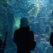 ヒメ日記 2026/04/18 20:52 投稿 秋月 琴音☆3 TiAmo（ティアモ）