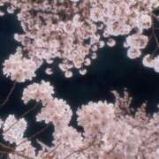 ヒメ日記 2025/04/15 21:13 投稿 もね 手コキガールズコレクション