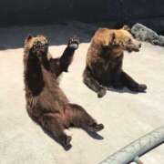 ヒメ日記 2024/12/06 13:00 投稿 すず SUZUME