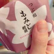 ヒメ日記 2024/12/19 16:30 投稿 すず SUZUME