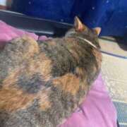 ヒメ日記 2024/12/23 15:00 投稿 すず SUZUME