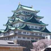 ヒメ日記 2024/12/29 15:00 投稿 すず SUZUME