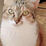 ヒメ日記 2024/12/29 17:00 投稿 すず SUZUME