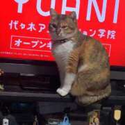 ヒメ日記 2025/01/02 15:00 投稿 すず SUZUME