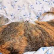 ヒメ日記 2025/01/07 12:00 投稿 すず SUZUME