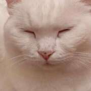 ヒメ日記 2025/01/08 12:00 投稿 すず SUZUME