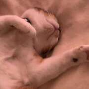 ヒメ日記 2025/01/10 13:00 投稿 すず SUZUME