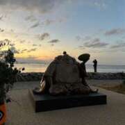 ヒメ日記 2025/01/15 17:00 投稿 すず SUZUME