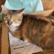 ヒメ日記 2025/01/17 15:00 投稿 すず SUZUME