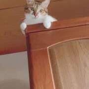 ヒメ日記 2025/01/30 17:00 投稿 すず SUZUME