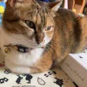 ヒメ日記 2025/02/03 12:00 投稿 すず SUZUME