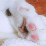 ヒメ日記 2025/02/07 15:00 投稿 すず SUZUME