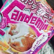 ヒメ日記 2025/02/08 15:00 投稿 すず SUZUME