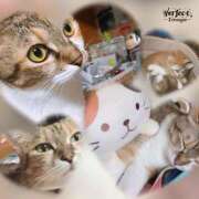 ヒメ日記 2025/02/09 13:00 投稿 すず SUZUME