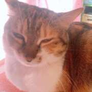 ヒメ日記 2025/02/18 17:00 投稿 すず SUZUME