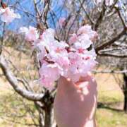 ヒメ日記 2025/02/19 15:00 投稿 すず SUZUME