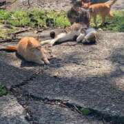 ヒメ日記 2025/02/19 17:00 投稿 すず SUZUME