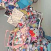 ヒメ日記 2025/02/25 17:00 投稿 すず SUZUME