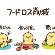 ヒメ日記 2025/02/26 20:00 投稿 すず SUZUME