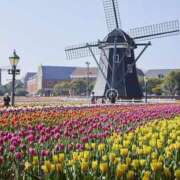 ヒメ日記 2025/03/01 17:00 投稿 すず SUZUME