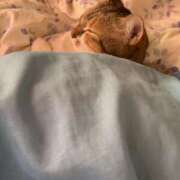 ヒメ日記 2025/03/02 15:00 投稿 すず SUZUME