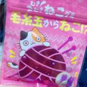 ヒメ日記 2025/03/04 15:00 投稿 すず SUZUME