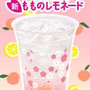 ヒメ日記 2025/03/05 12:00 投稿 すず SUZUME