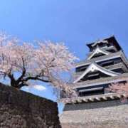 ヒメ日記 2025/03/06 15:00 投稿 すず SUZUME