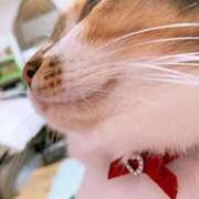 ヒメ日記 2025/03/17 17:00 投稿 すず SUZUME