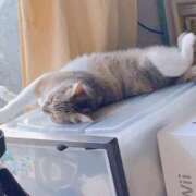 ヒメ日記 2025/03/20 15:00 投稿 すず SUZUME