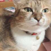 ヒメ日記 2025/03/21 12:00 投稿 すず SUZUME