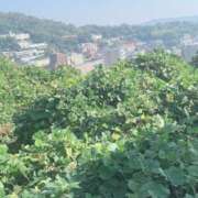 ヒメ日記 2025/03/22 17:00 投稿 すず SUZUME