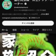 ヒメ日記 2025/03/23 17:00 投稿 すず SUZUME