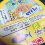 ヒメ日記 2025/03/28 17:00 投稿 すず SUZUME