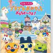 ヒメ日記 2025/03/30 16:00 投稿 すず SUZUME