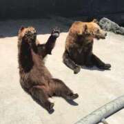 ヒメ日記 2025/03/31 13:01 投稿 すず SUZUME