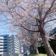 ヒメ日記 2025/03/31 15:00 投稿 すず SUZUME