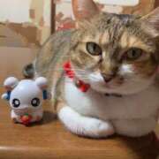 ヒメ日記 2025/04/01 17:00 投稿 すず SUZUME