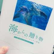ヒメ日記 2025/04/02 15:00 投稿 すず SUZUME