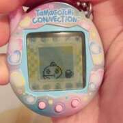 ヒメ日記 2025/04/04 13:00 投稿 すず SUZUME