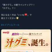 ヒメ日記 2025/04/05 17:00 投稿 すず SUZUME