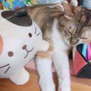 ヒメ日記 2025/04/08 12:00 投稿 すず SUZUME