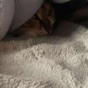 ヒメ日記 2025/04/13 13:00 投稿 すず SUZUME