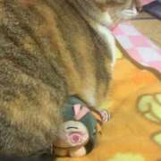 ヒメ日記 2025/04/15 17:00 投稿 すず SUZUME