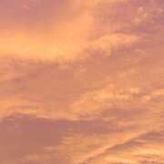 ヒメ日記 2025/04/17 15:00 投稿 すず SUZUME