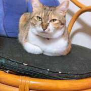 ヒメ日記 2025/04/18 15:00 投稿 すず SUZUME