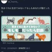 ヒメ日記 2025/04/20 13:00 投稿 すず SUZUME